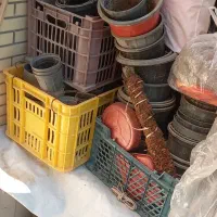 تعدادزیادی گلدان مشکی