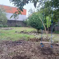 اجاره انباره ،50متری،همراه زمین تقریبی 800متر|اجارهٔ دفتر صنعتی، کشاورزی، تجاری|رشت, حومه رشت|دیوار