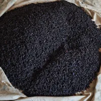 کشمش و مویز درجه ۱