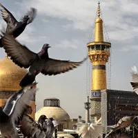 سفر به مشهد/آرامشی که لایقش هستید/هوایی زمینی