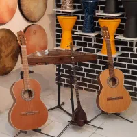 آموزش تخصصی گیتار مدرس آقا خانم