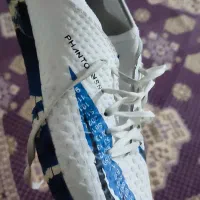 کفش ورزشی|کیف، کفش، کمربند|اهر, |دیوار