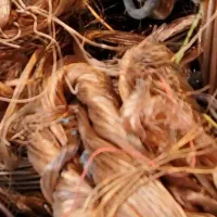 ضایعات کارتن وکتاب کاغذوآهن آلات وپلاستیک|عمده‌فروشی|تبریز, |دیوار