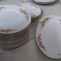 پلوزرین|ظروف سرو و پذیرایی|اراک, |دیوار