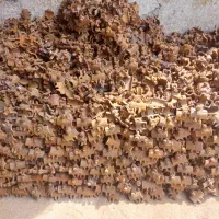 فروش و خریدارلوله داربست و تخته بنایی|مصالح و تجهیزات ساختمان|کرج, باغستان|دیوار