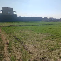 زمین مناسب جهت دامداری|فروش دفتر صنعتی، کشاورزی، تجاری|سبزوار, قصبه شرقی|دیوار