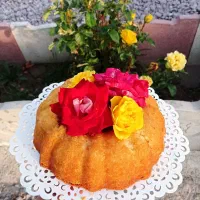 انواع کیک و نان و خاگینه