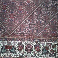فرش دستباف ۶متری|فرش|زنجان, |دیوار