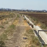 زمین کشاورزی|فروش زمین و ملک کلنگی|بناب, |دیوار