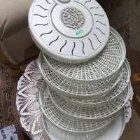 میوه خشک کن SaYa نوسالم پنج طبقه مناسب این فصل