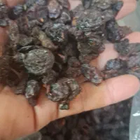 خوردنی و آشامیدنی|خوردنی و آشامیدنی|خمینیشهر, |دیوار