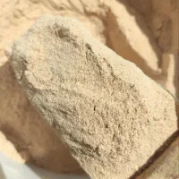 تولید کننده انواع ادویه خشک پایینترین قیمت