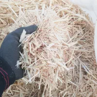 پوخل نرم جو کاشمر