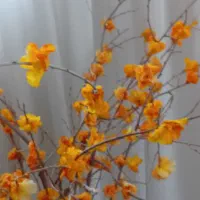 گلدان پاییزی