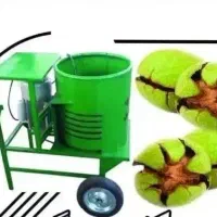 پوست گیری گردو