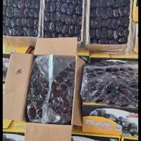 خرما درجه ۱|عمده‌فروشی|تکاب, |دیوار