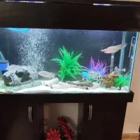 آکواریوم 1 متر طول عرض 30