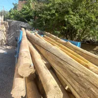 خرید چوب|خدمات باغبانی و درختکاری|الشتر, |دیوار