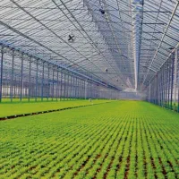 گارگر روزانه گلخانه