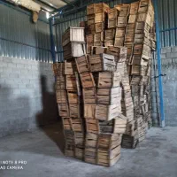 سبد چوبی مخصوص میوه|عمدهفروشی|جهرم, |دیوار