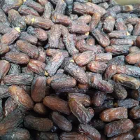 فروش خرما پیارم درجه یک عمده