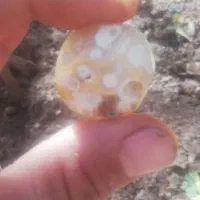 سنگ کهنه قدیمی|کلکسیون اشیاء عتیقه|کرمان, |دیوار