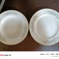 ظروف چینی زرین