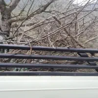 باربند اسدپرت|قطعات یدکی و لوازم جانبی|خمام, |دیوار