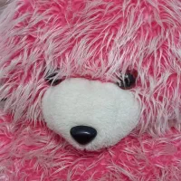 خرس صورتی|اسباببازی|قزوین, |دیوار