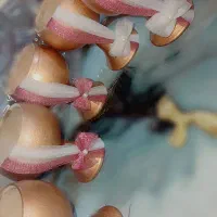 هفت سین عید