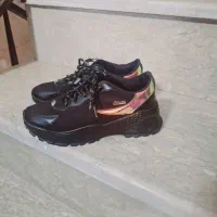 کتونی|کیف، کفش، کمربند|بابل, |دیوار