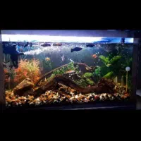 فروش آکواریوم با پایه فلزی