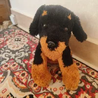 عروسک|اسباببازی بچه|صدرا-فارس, فاز ۱|دیوار