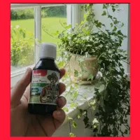 قرص کود( آپارتمانی) ویژه دوستداران گل های خانگی|گل و گیاه طبیعی|محمدیه-قزوین, |دیوار