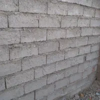 ۱ دیو۱ر چینی