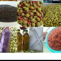 زیتون پرورده ،زیتون و انواع کره رستورانی|خوردنی و آشامیدنی|کرج, حیدرآباد|دیوار
