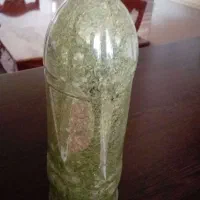 نعنا خشک تمیز شسته بهداشتی کیلویی ۷۰۰