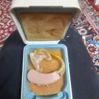 سمعک زیمنس|پزشکی|اردبیل, |دیوار