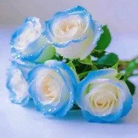 کارهای خدماتی و کشاورزی|خدمات پذیرایی، مراسم|خمین, |دیوار