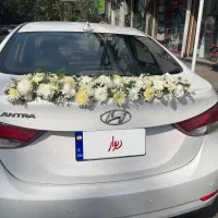 کرایه ماشین عروس با پایین ترین قیمت|خودرو اجاره‌ای|لاهیجان, شیخ زاهد|دیوار