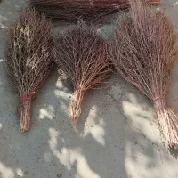 فروش جارو محلی