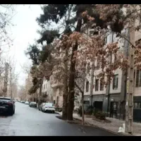 ۱۹ قصب (۴۷۵متر * تجاری ، بر ویلا