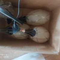 لوستر سه شعله  نو