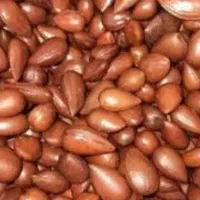 بادام شور ارگانیک هم آجیل هم درمان اکثر بیماری ها