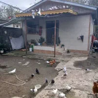 خانه-سنددار-200-متری