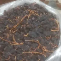 مویز|خوردنی و آشامیدنی|رستم, |دیوار