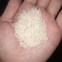 دم سیاه|خوردنی و آشامیدنی|رشت, سلیمانداراب|دیوار