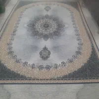 قالیباف ۳در۴