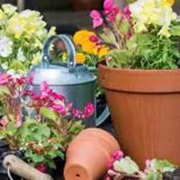 باغبانی هرس دفع آفات و بیماری های گیاهی سم پاشی