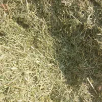 یونجه درجه یک مناسب برای اسب